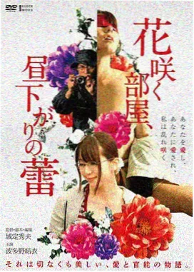 妖精尾巴 OVA 夏之祭 画面